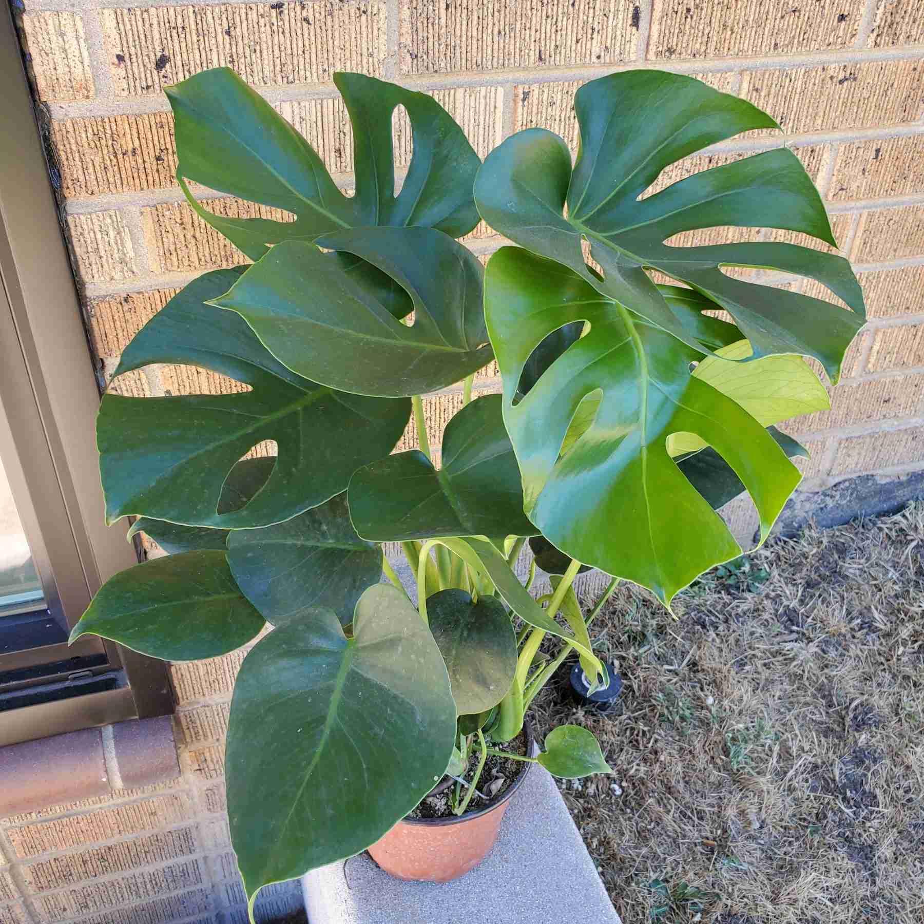 Tigerlily Goods Denver Gift Guide